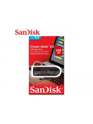 USB SANDISK SDCZ600 256GB