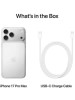 SMARTPHONE IPHONE 17 PRO MAX 256 GB SILVER 