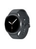 SMARTWATCH SAMSUNG GALAXY WATCH8 40MM DARK GRAY SM-L320NDAAEUC