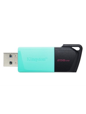 USB KINGSTRON EXODIA 256GB ,BLACK+TEAL